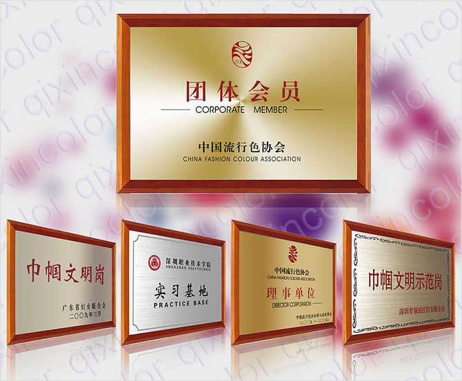 公司獲得的榮譽(yù)、獎(jiǎng)牌